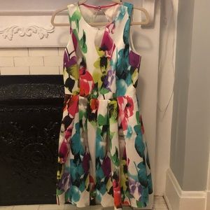 Eliza J Dresses - Colorful Eliza J Cocktail Dress Eliza J Dresses - Colorful Eliza J Cocktail Dress